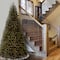 16ft. Unlit North Valley® Spruce Artificial Christmas Tree